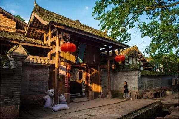 探索谷爱凌的护照遭恶意曝光,是什么让网友十分愤怒?知识星球,开启极致学习体验